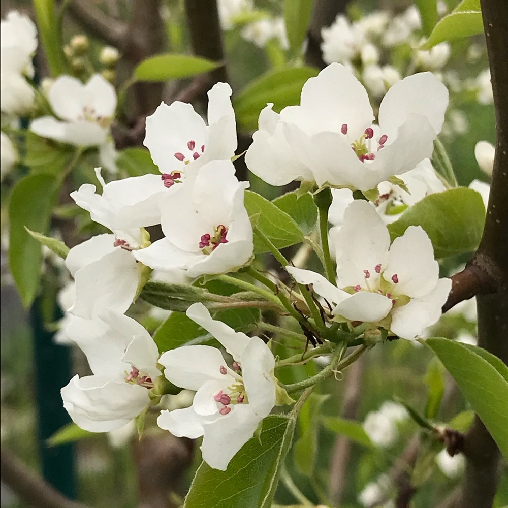 Meet your Posher, Wendy